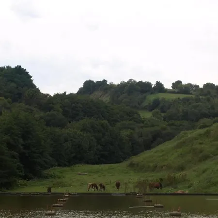 Oribar Bazter Goikoa -calma Y Naturaleza By Egona Ferienhaus *